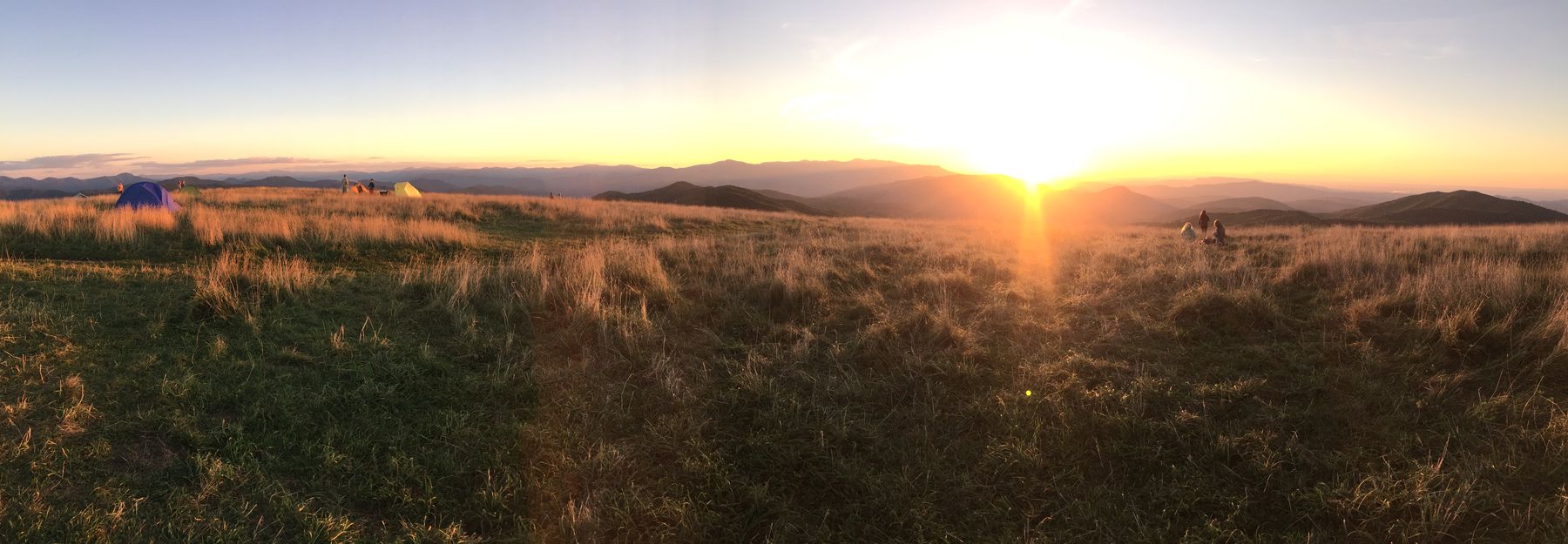 Max Patch summit